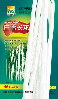 白雪长龙