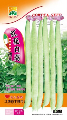红花白荚