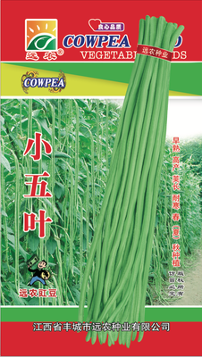 小五叶